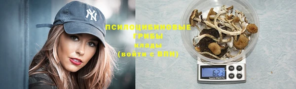 индика Алексеевка