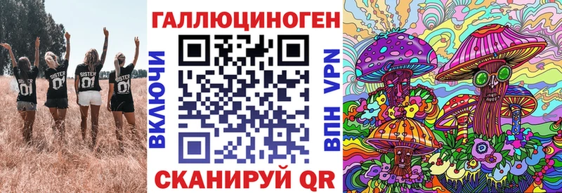 Галлюциногенные грибы Psilocybe  цена   Долинск 