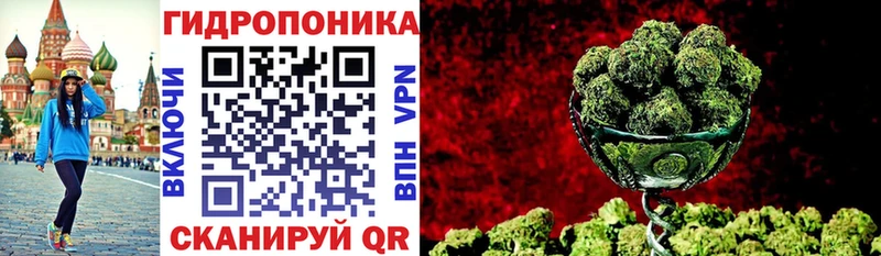 Бошки марихуана Amnesia  Долинск 